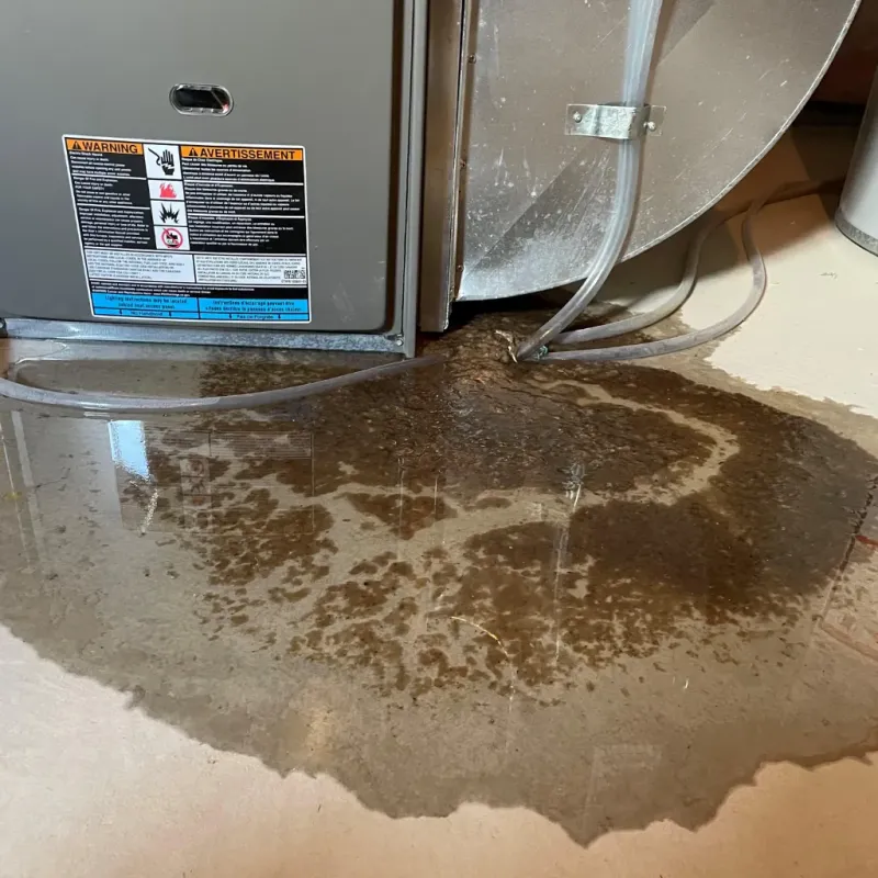 Appliance Leak Cleanup in Fort Mill, SC