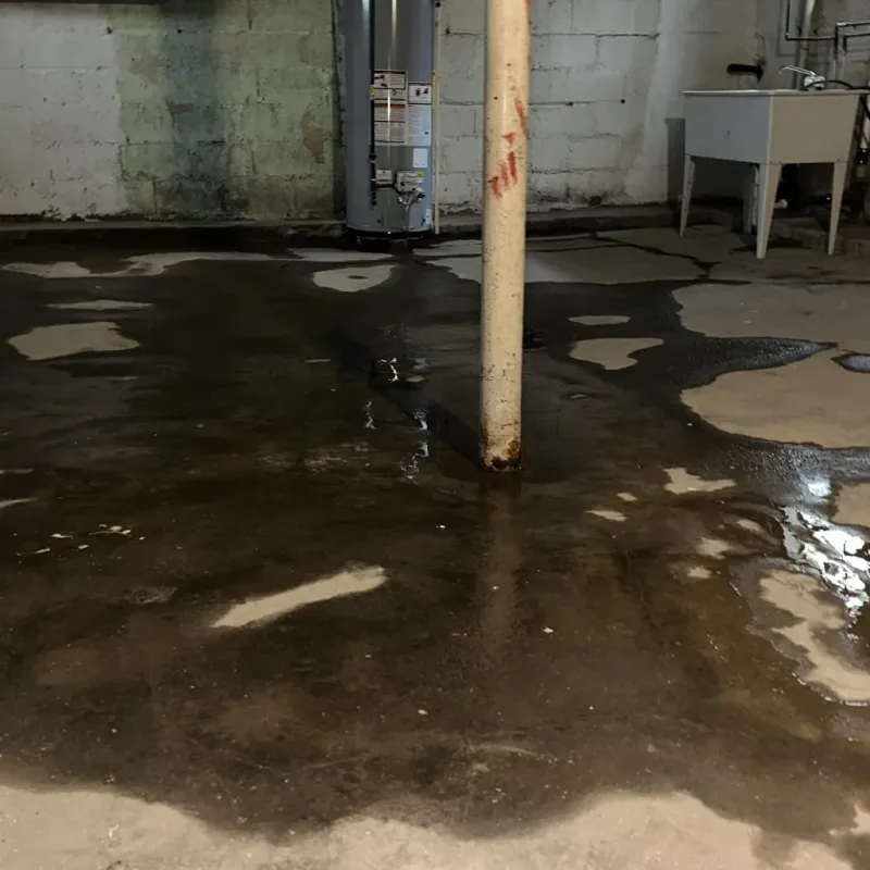 Emergency Water Extraction And Removal in Fort Mill, SC